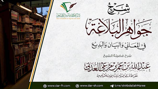 شرح جواهر البلاغة في المعاني والبيان والبديع